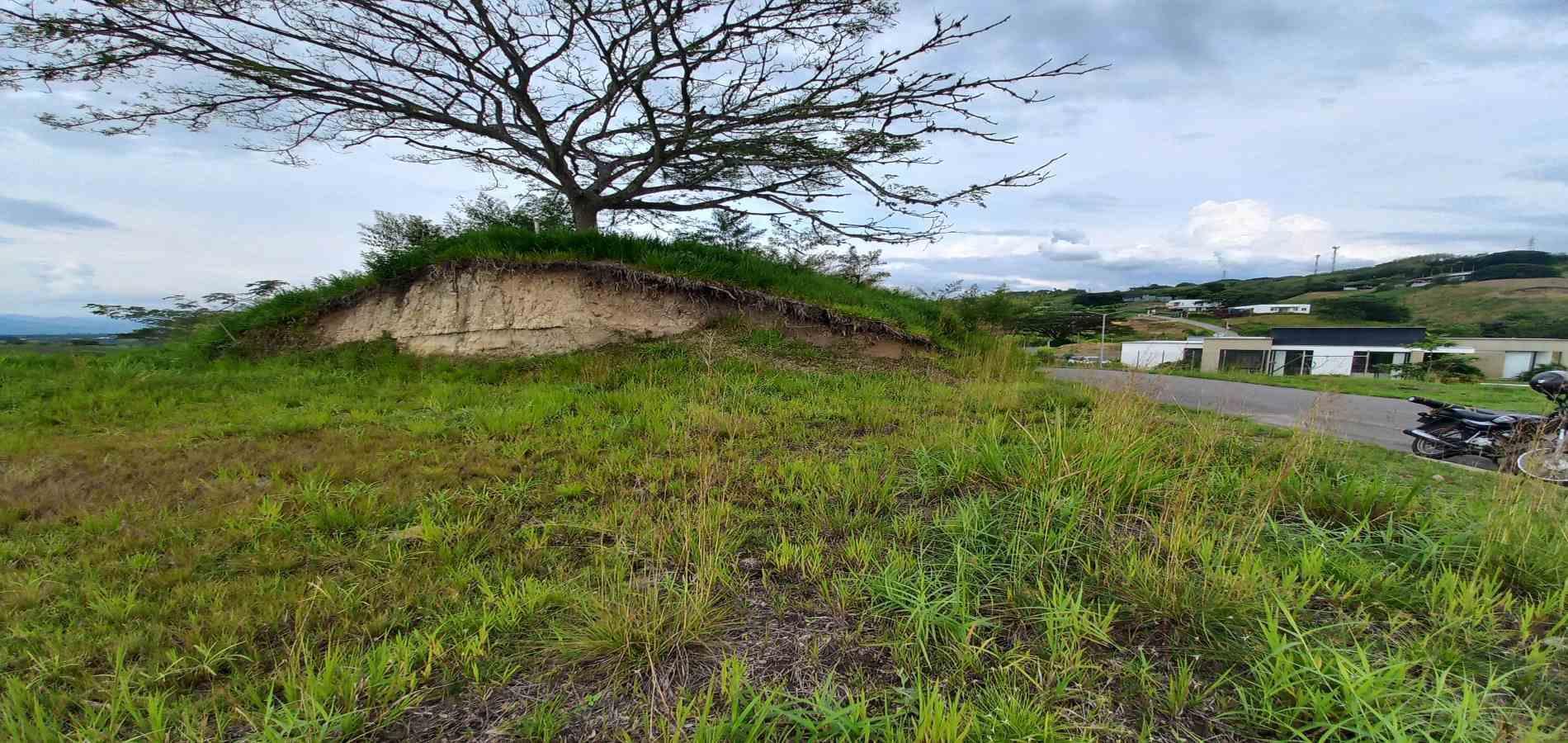 Foto de Lote / terreno en Venta en Cerritos, Pereira - 4 - 279066409