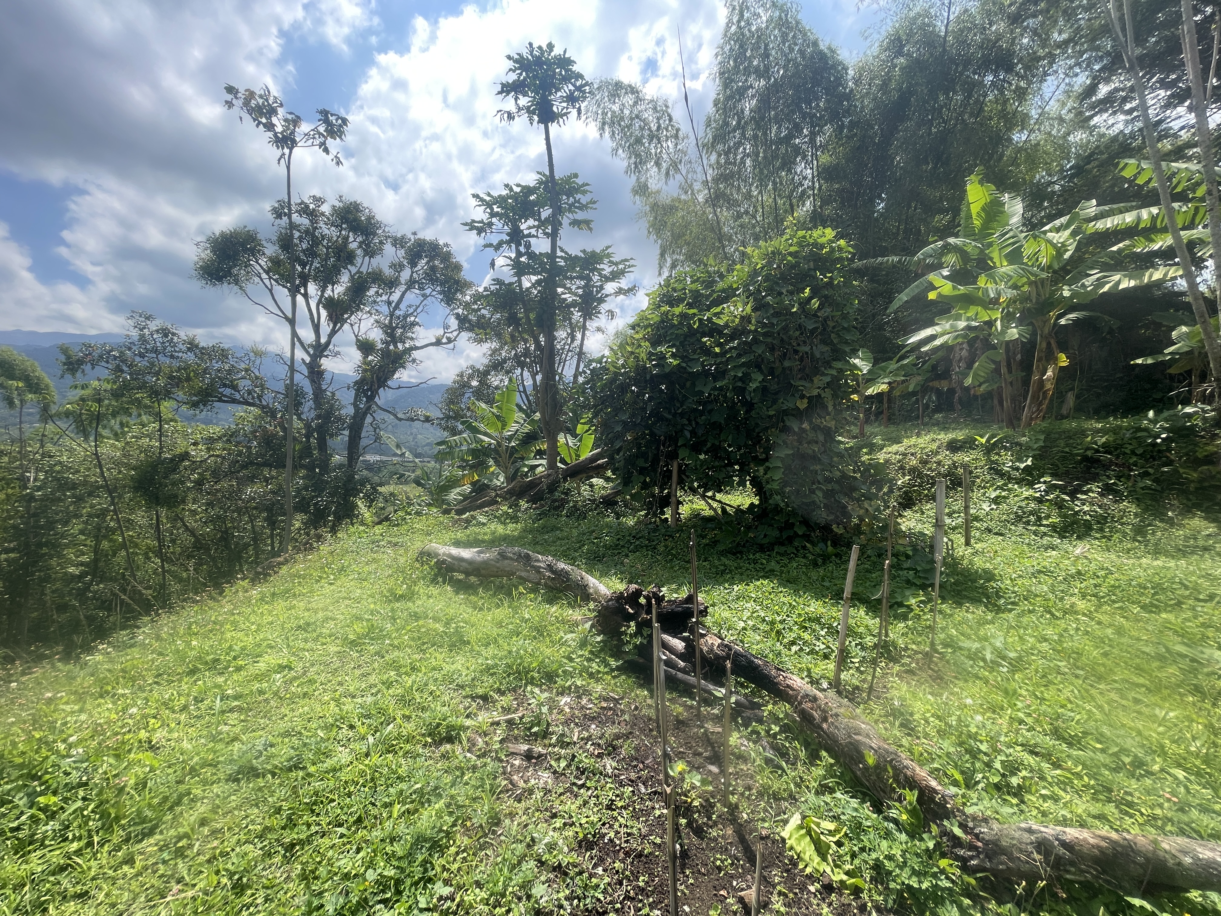 Foto de Lote / terreno en Venta en Av bolivar, Armenia  - 8 - 279065795