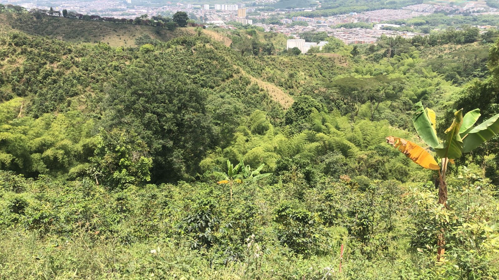 Foto de Lote / terreno en Venta en Dosquebradas, Dosquebradas - 1 - 279053269