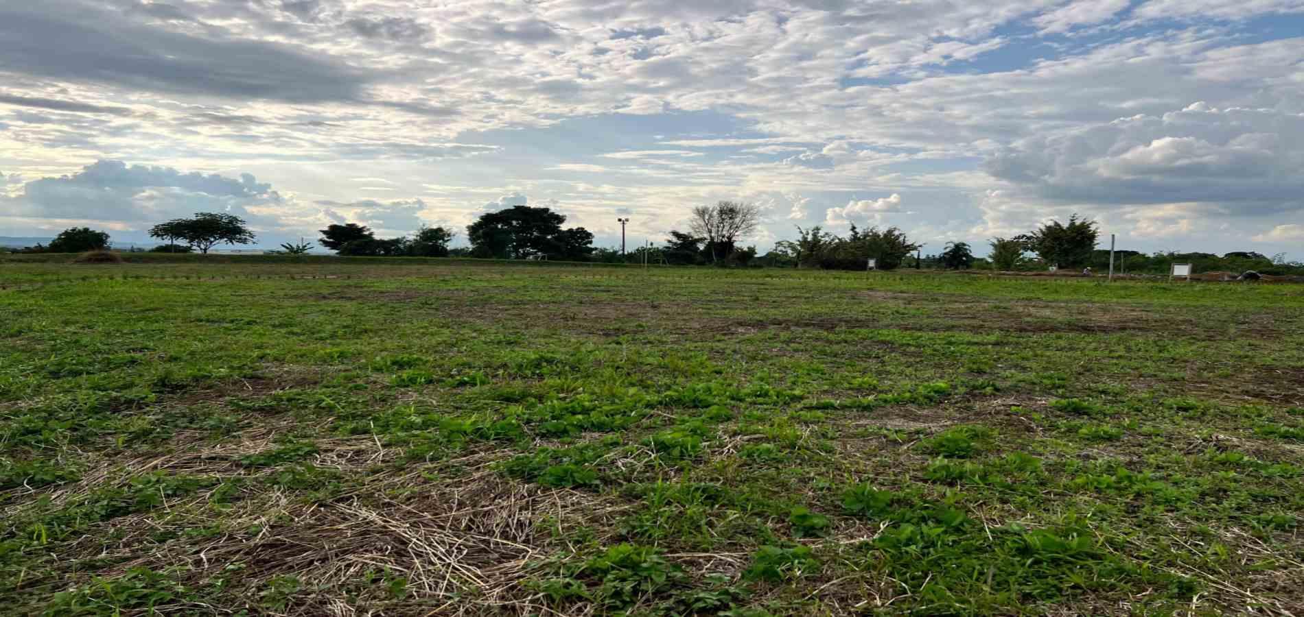 Foto de Lote / terreno en Venta en Armenia, Armenia  - 8 - 279067125