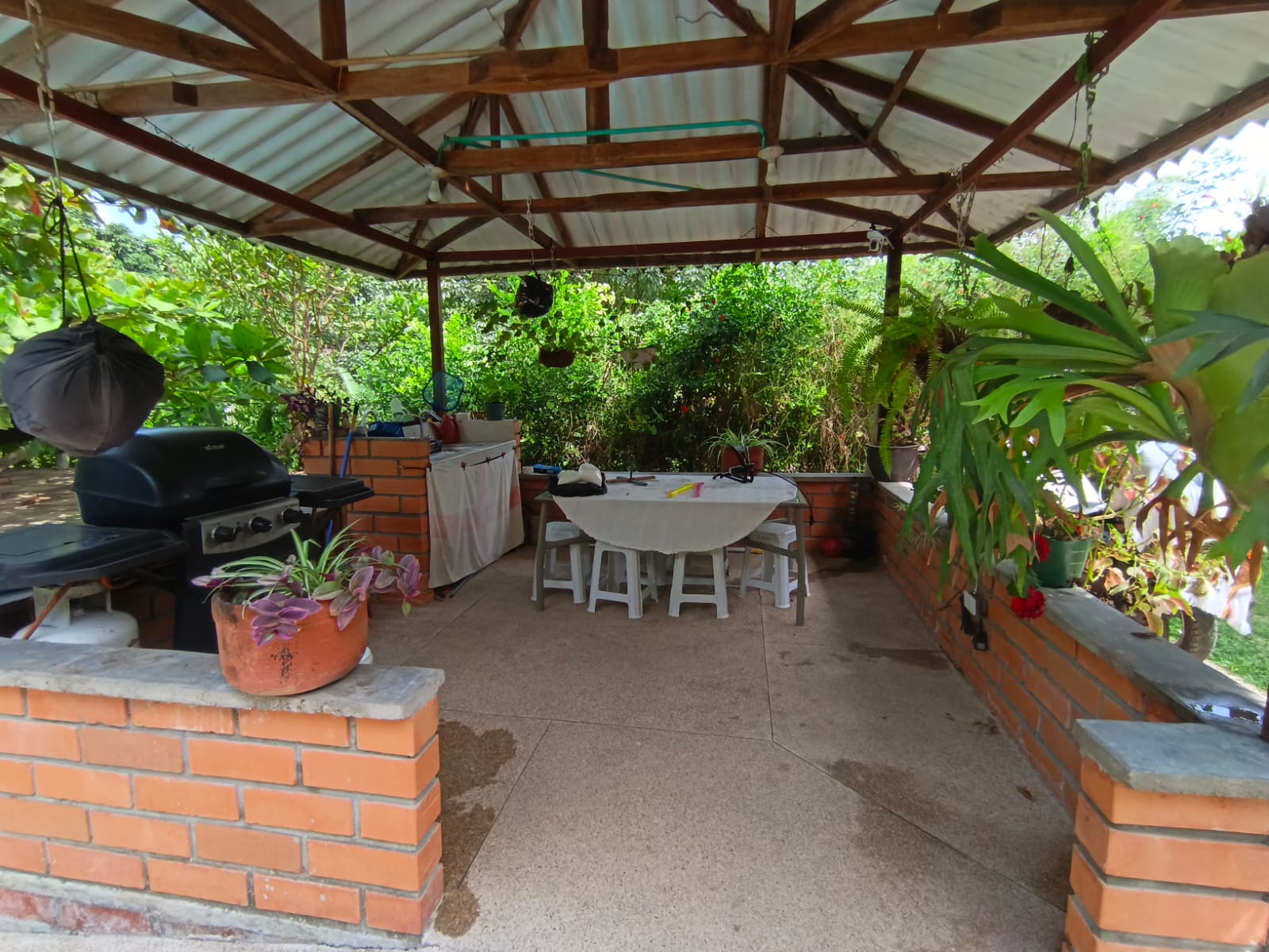 Foto de Casa en Venta en Centro, Palestina - 14 - 279070008