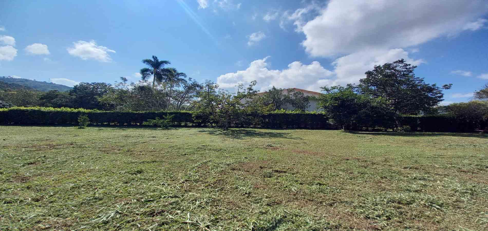 Foto de Lote / terreno en Venta en Vereda santagueda, Palestina - 32 - 279060420