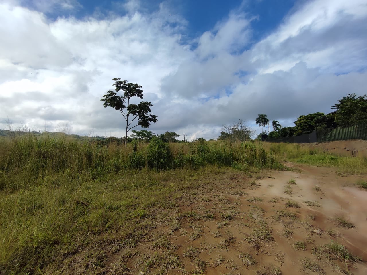 Foto de Lote / terreno en Venta en Cerritos, Pereira - 8 - 279063217