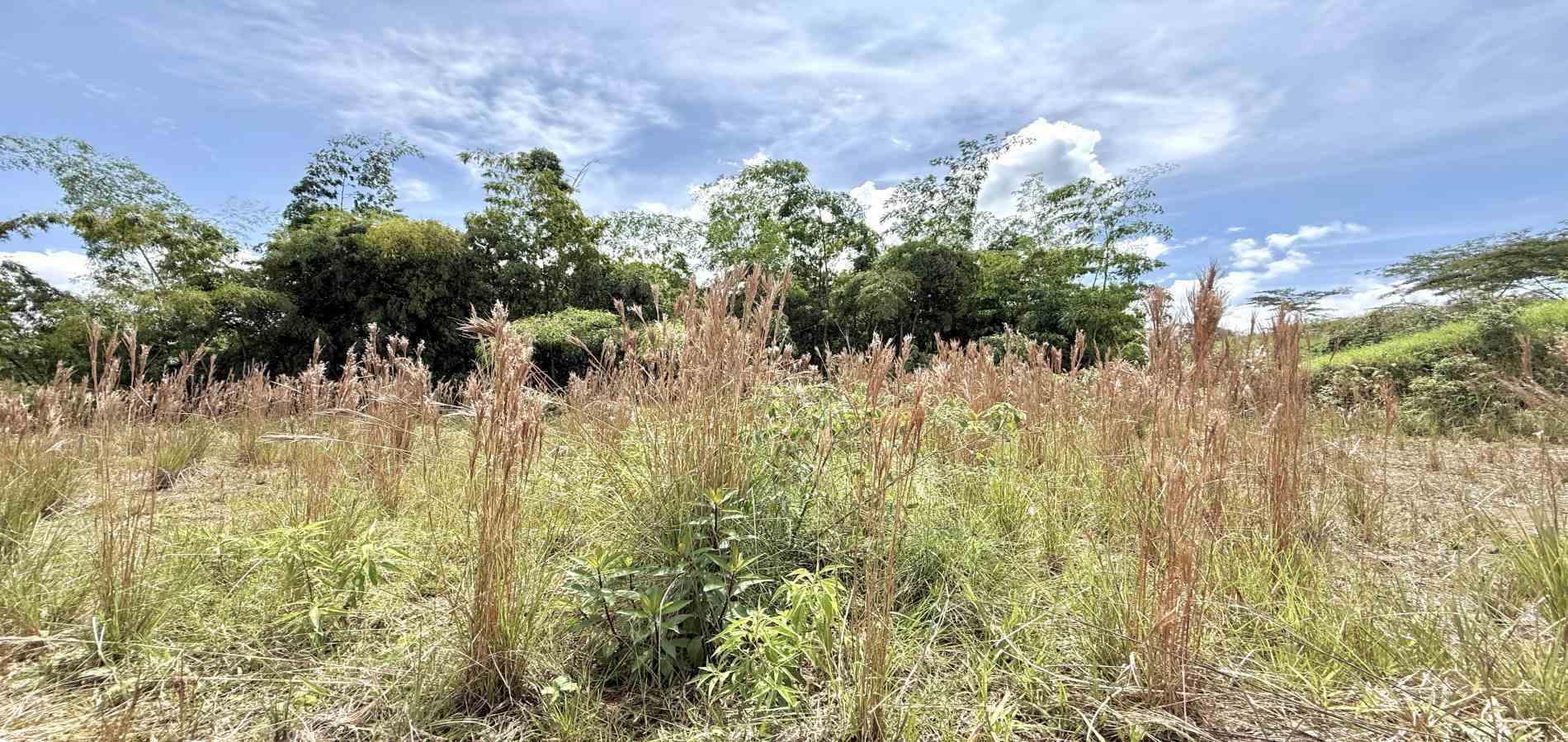 Foto de Lote / terreno en Venta en La pradera, Dosquebradas - 2 - 279061786