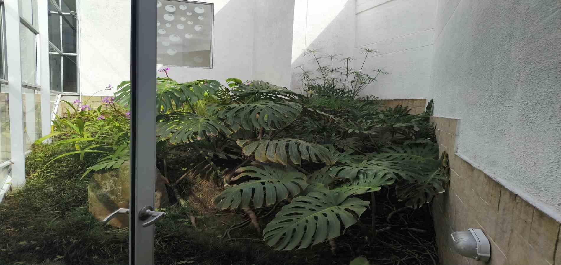 Foto de Casa campestre en Venta en Via aeropuerto el eden, Armenia  - 18 - 279068192