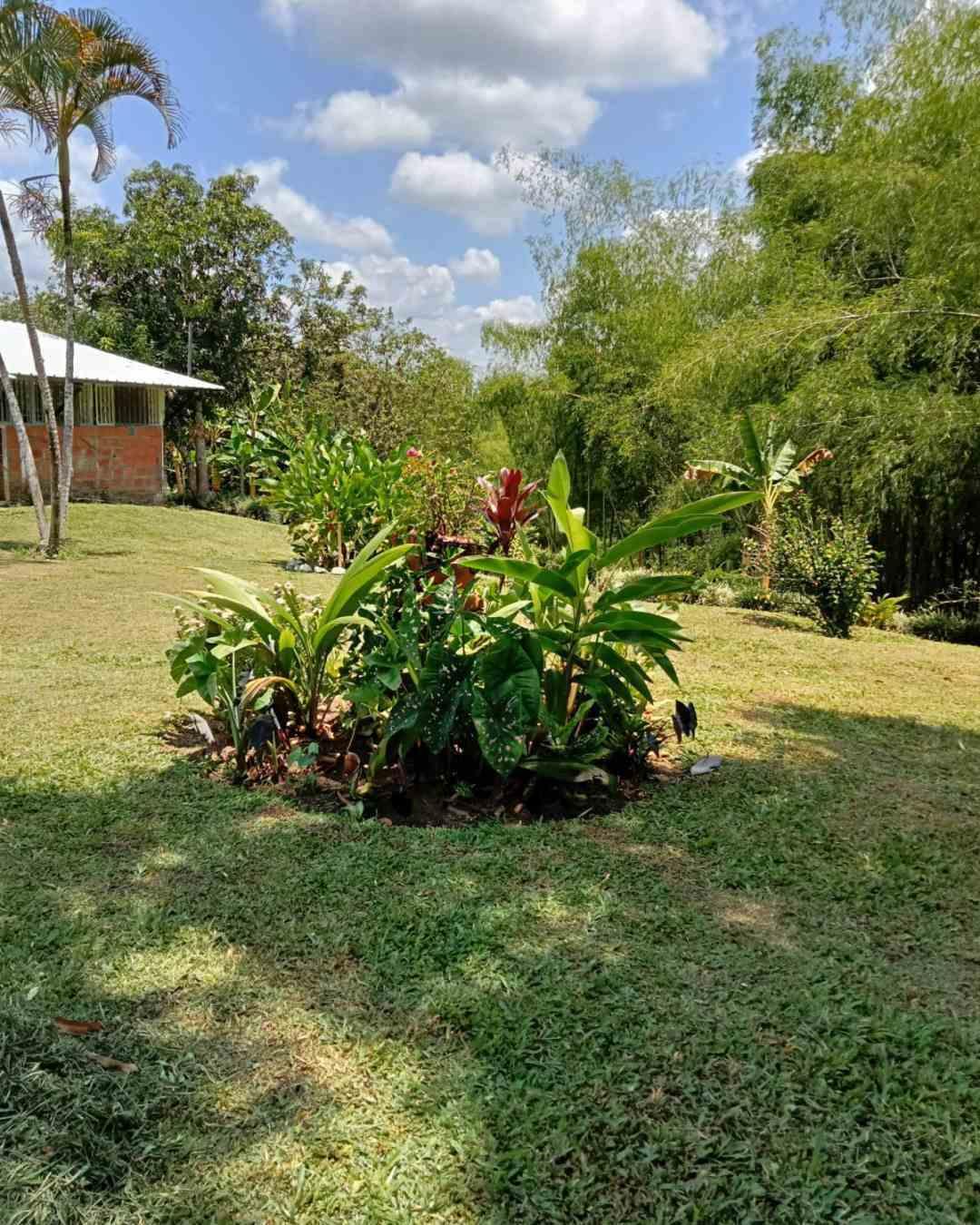 Foto de Finca en Venta en Vereda la julia, Alamos de poporo 103 t 8 - 4 - 279062428