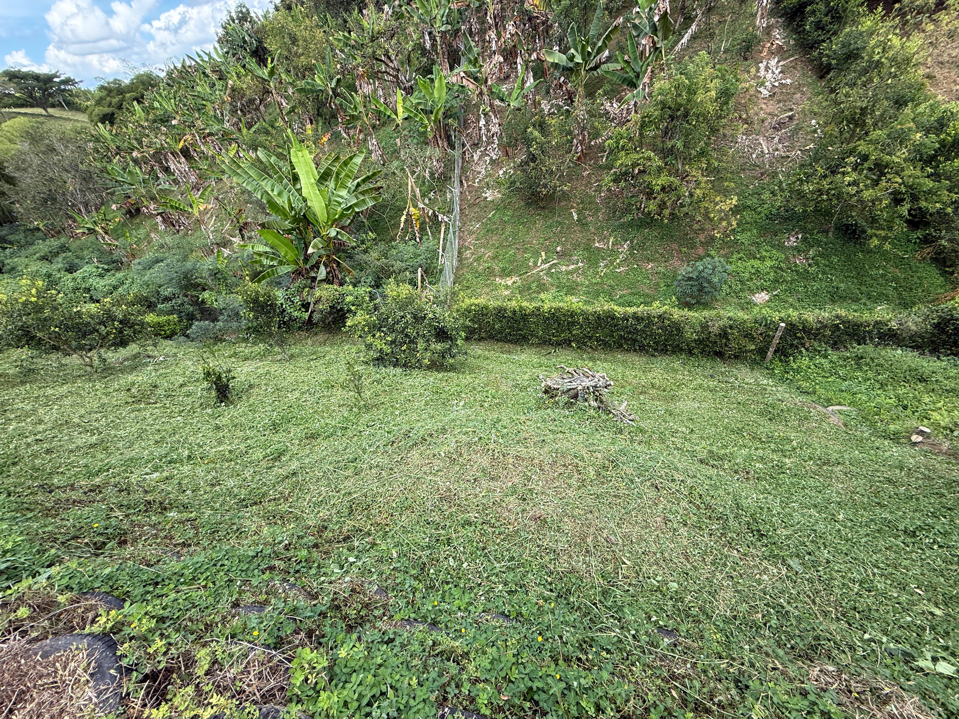 Foto de Lote / terreno en Venta en Altagracia, Pereira - 7 - 279063993