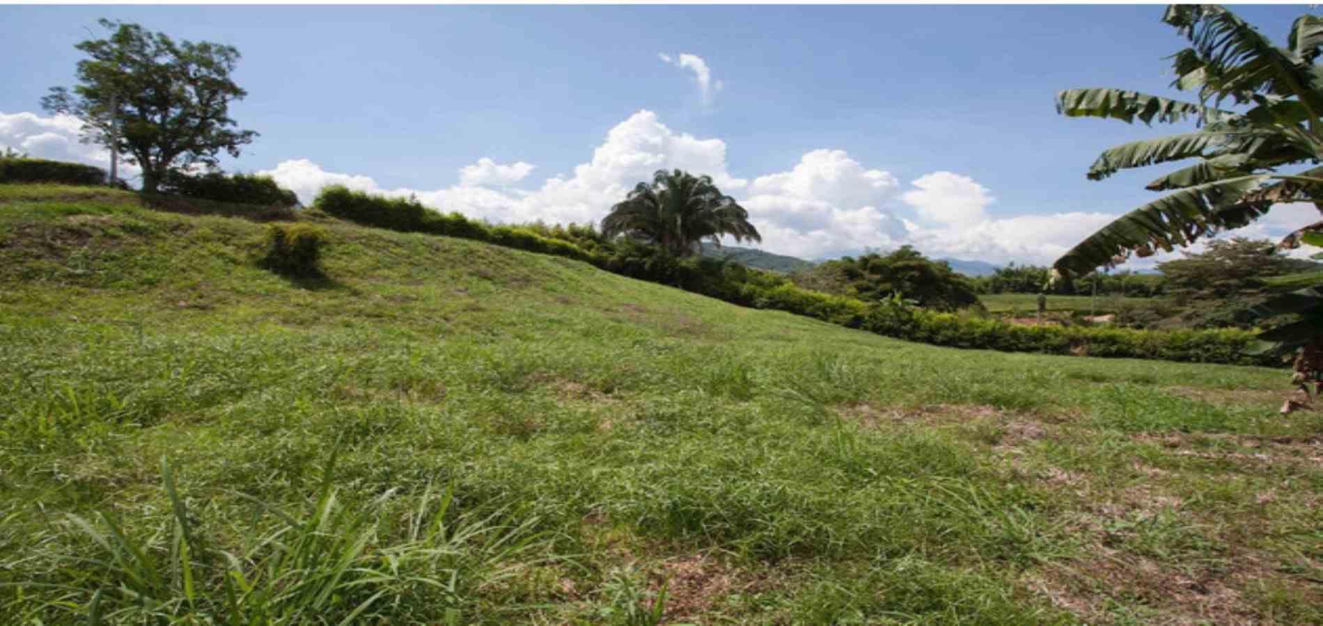 Foto de Lote / terreno en Venta en Vereda santagueda, Palestina - 8 - 279053622