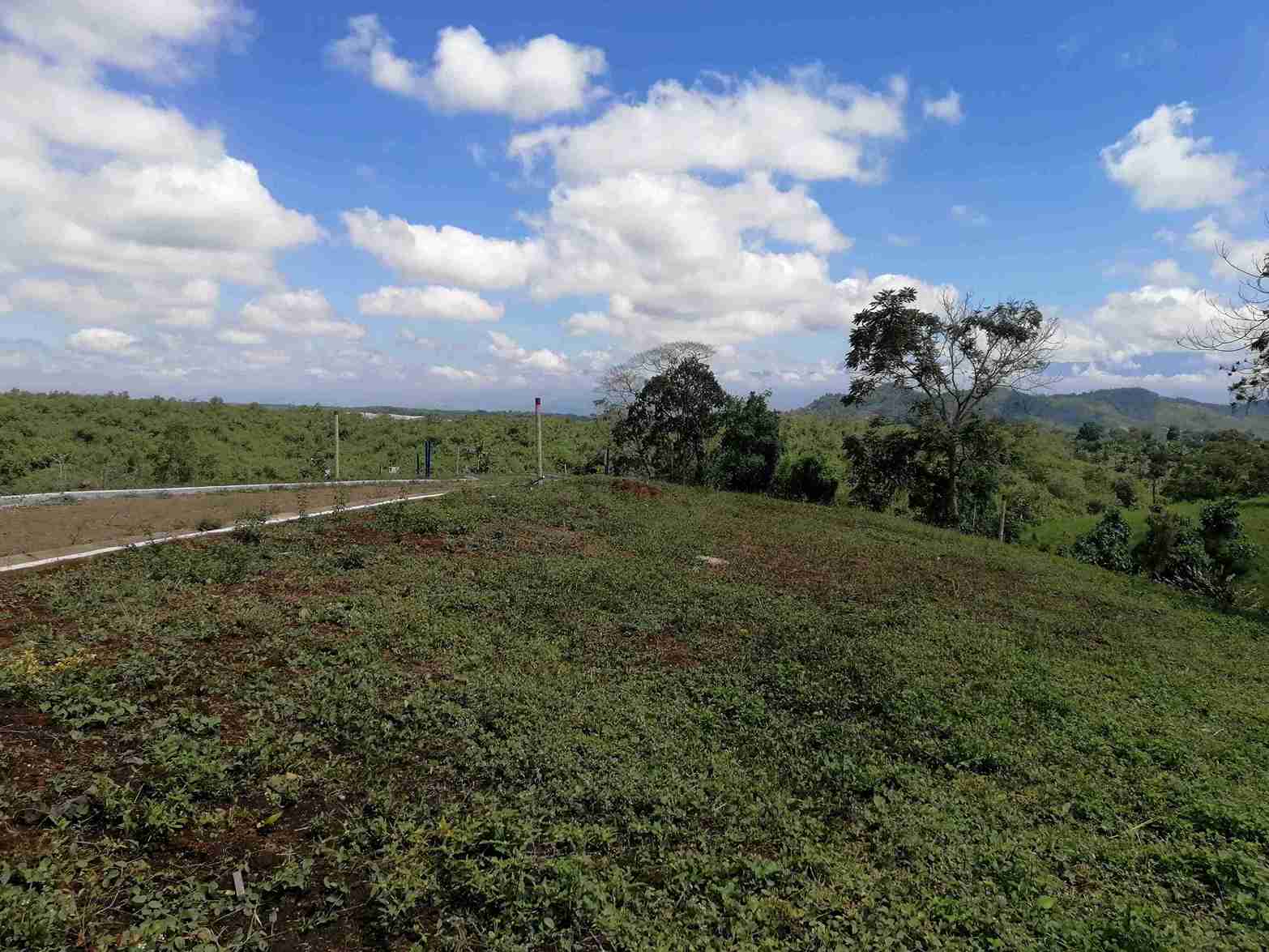 Foto de Lote / terreno en Venta en Combia, Pereira - 8 - 279058096