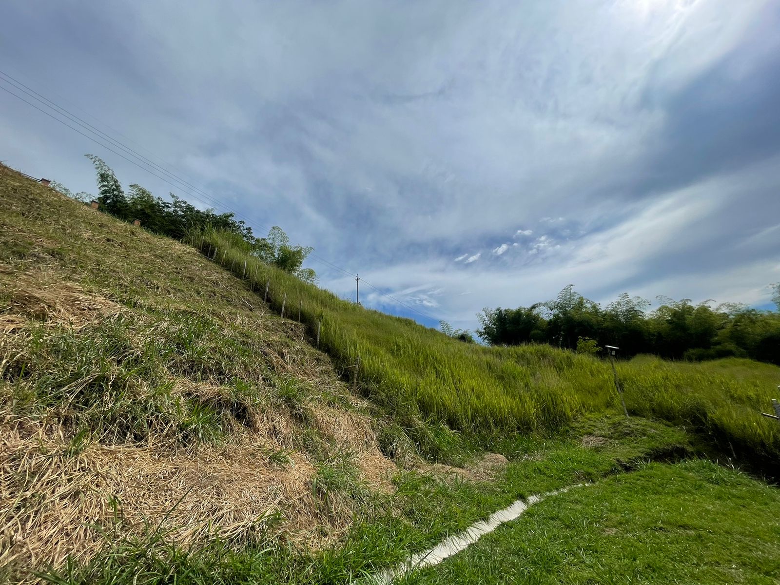 Foto de Lote / terreno en Venta en Cerritos, Pereira - 5 - 279058389
