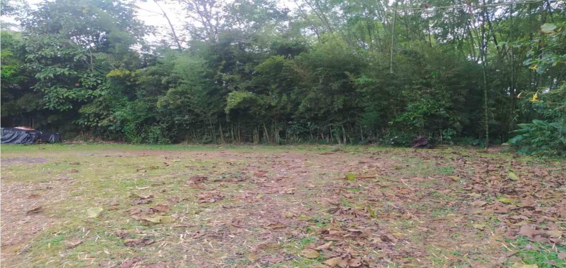 Foto de Finca en Venta en Tribunas consota, Pereira - 22 - 279053616
