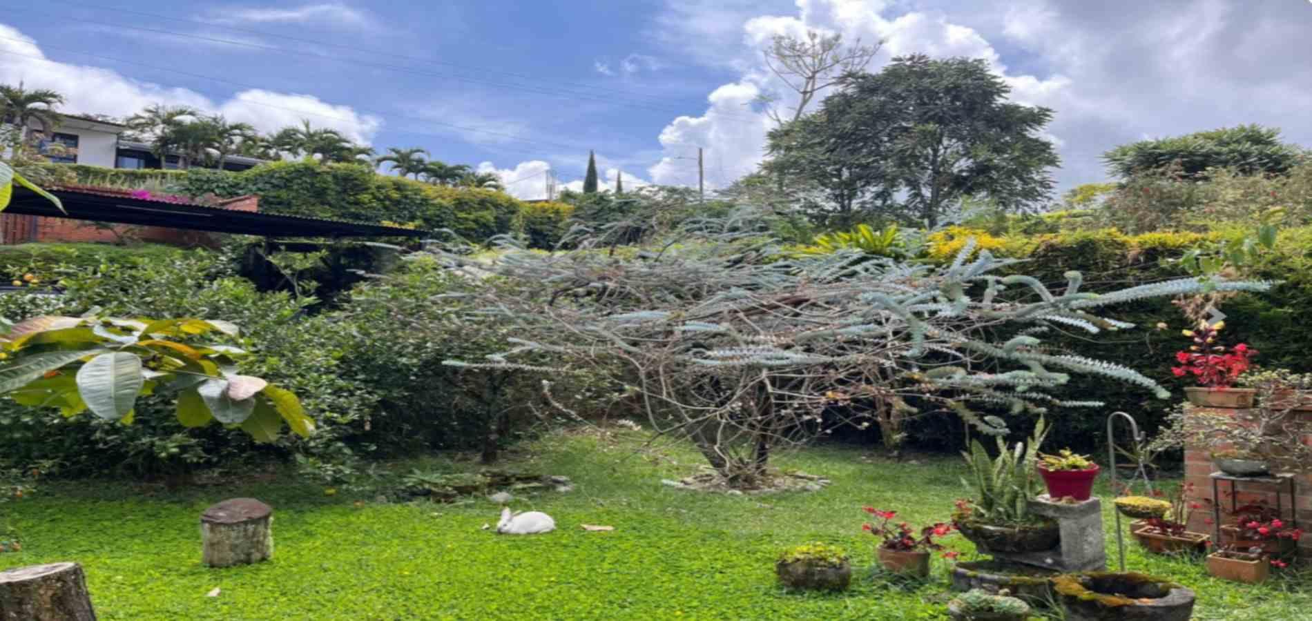 Foto de Casa en Venta en Santa rosa de cabal, Santa rosa de cabal - 1 - 279060879