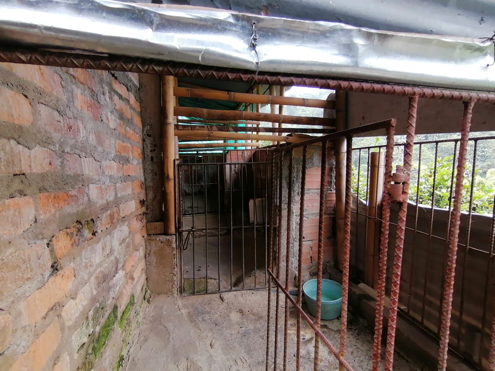 Foto de Finca en Venta en Maracas, Neira - 11 - 279063622