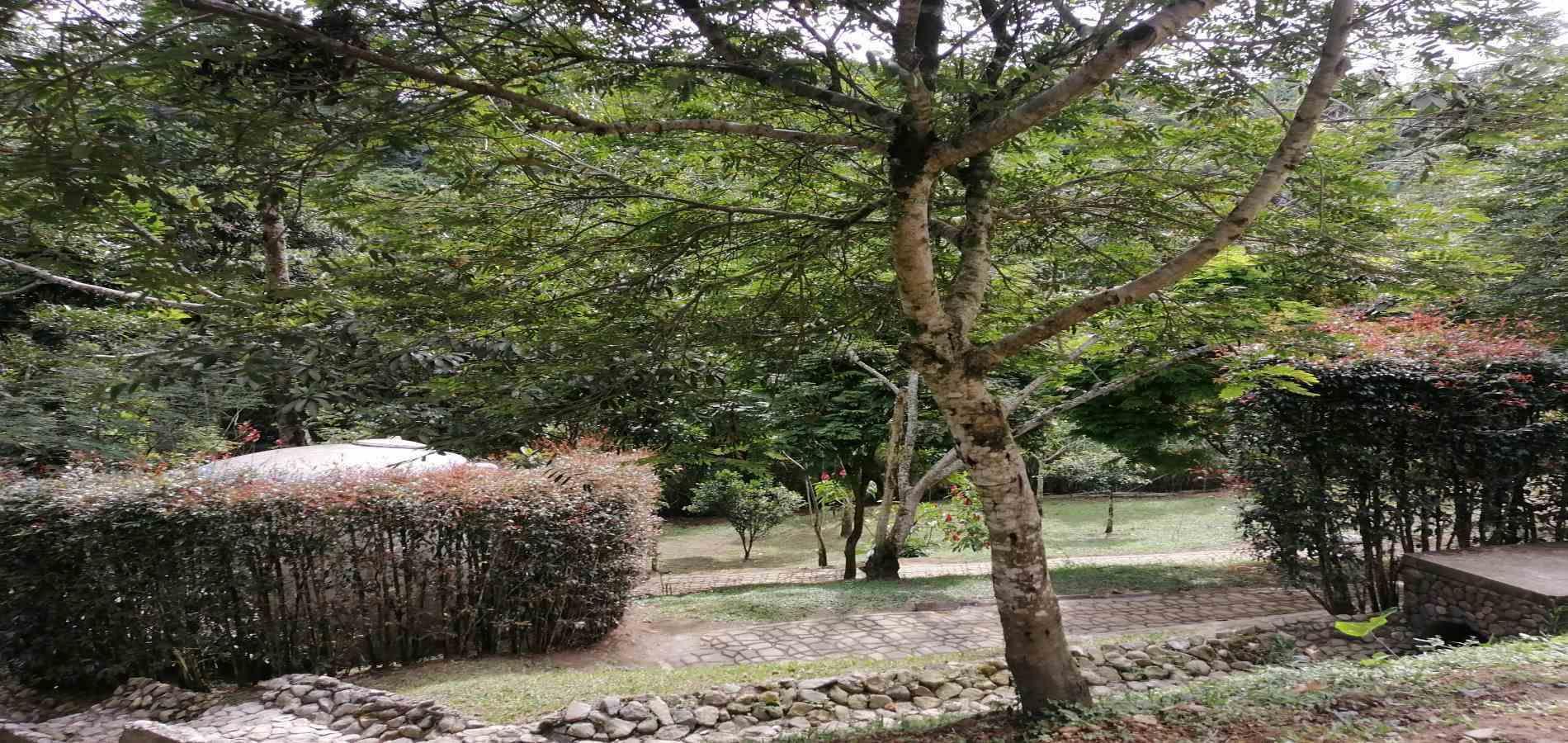 Foto de Apartamento en Venta en Piamonte, Dosquebradas - 30 - 279058688