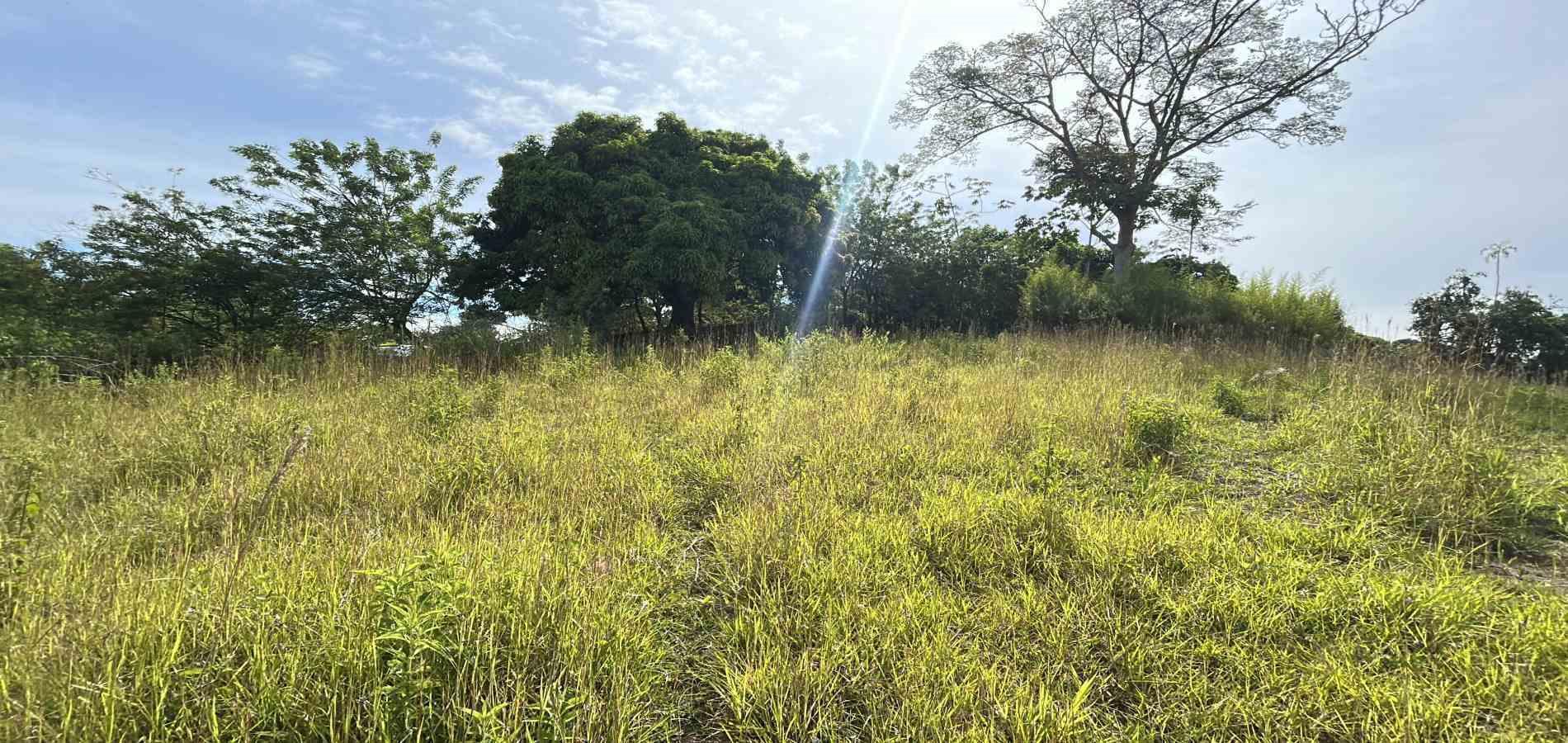 Foto de Lote / terreno en Venta en Cerritos, Pereira - 6 - 279068066