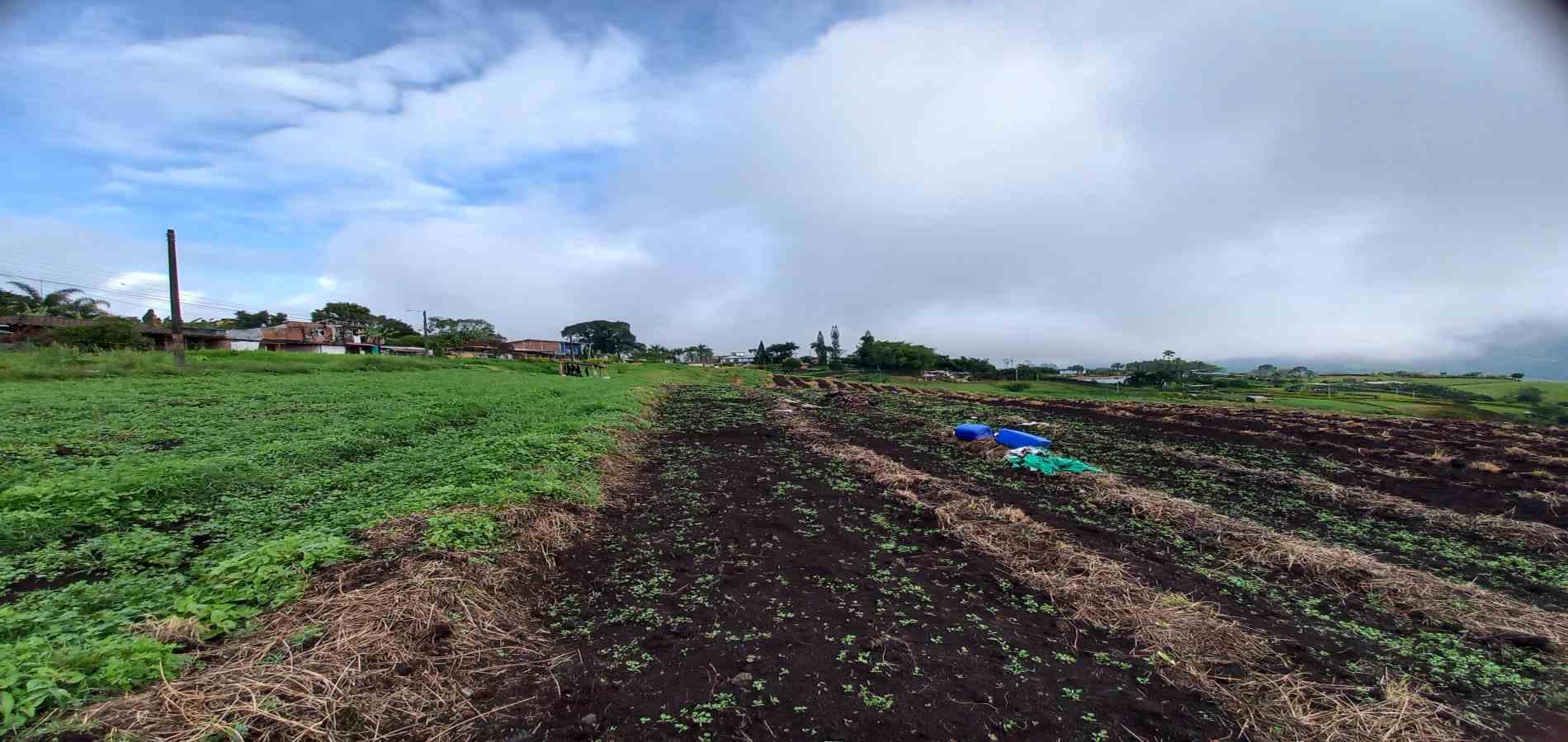 Foto de Lote / terreno en Venta en Vereda el lembo, Santa rosa de cabal - 10 - 279066290
