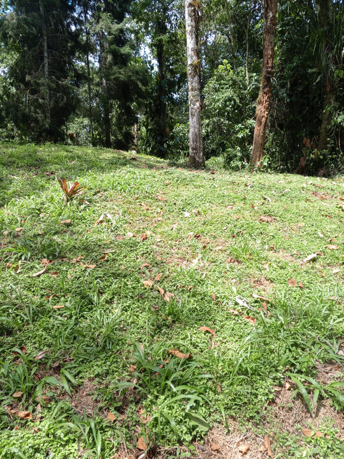 Foto de Lote / terreno en Venta en Via armenia, Pereira - 2 - 279062106