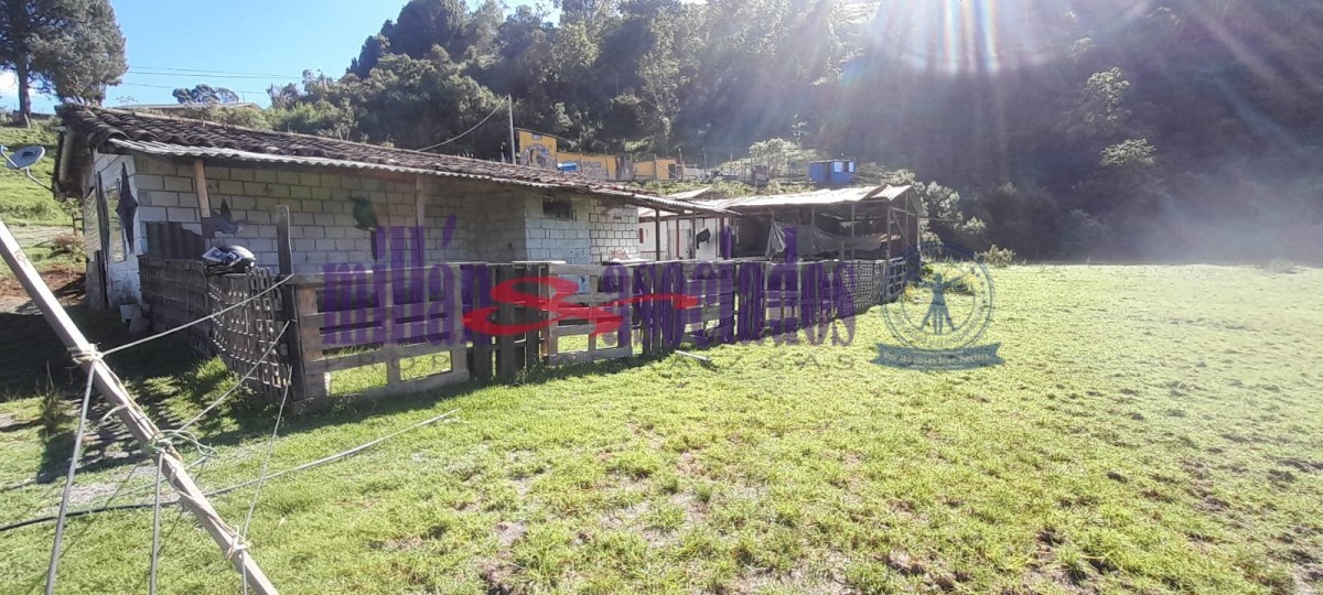 Foto de Lote / terreno en Venta en Cerro de oro, Manizales - 11 - 51810