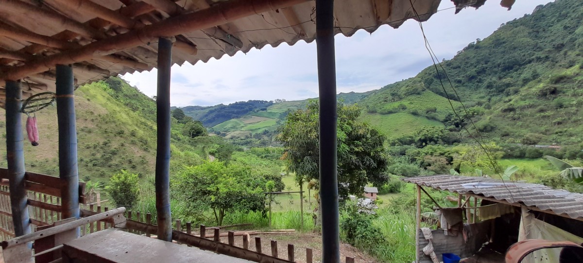 Foto de Finca en Venta en Los nogales, Manizales - 4 - 24633