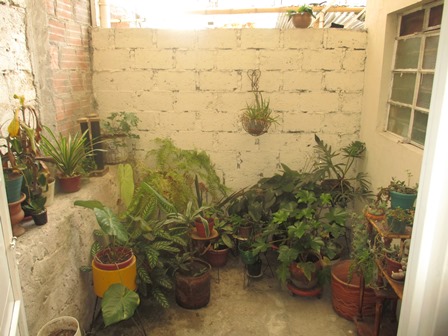 Foto de Casa en Venta en Chipre, Manizales - 12 - 279019745