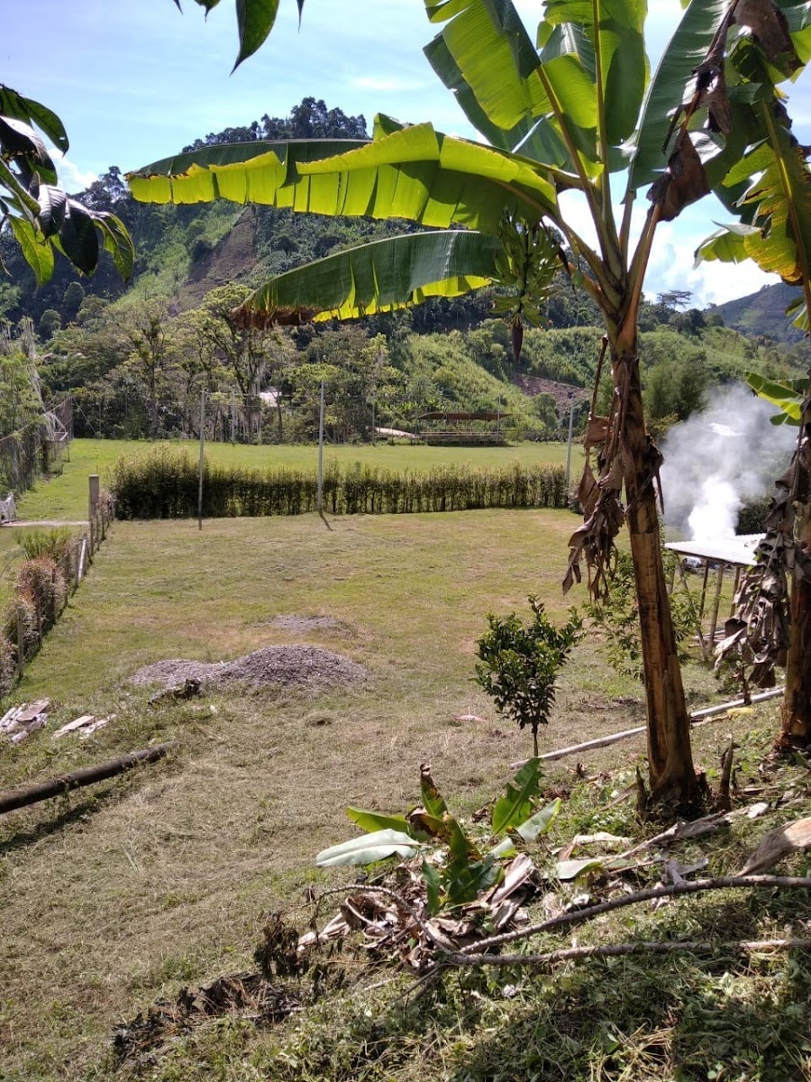 Foto de Lote / terreno en Venta en San peregrino, Manizales - 7 - 279024611