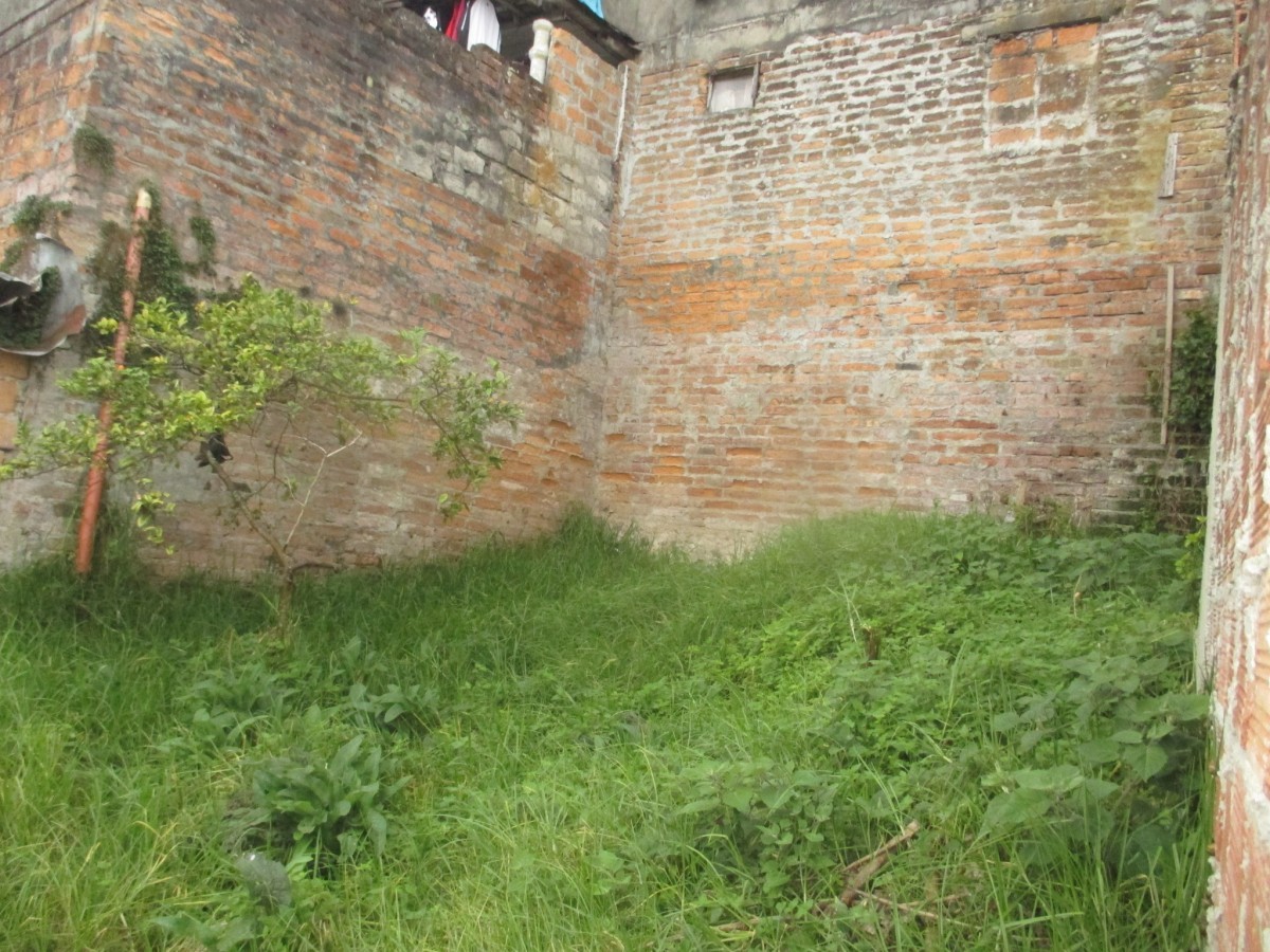 Foto de Lote / terreno en Venta en Los agustinos, Manizales - 1 - 9749