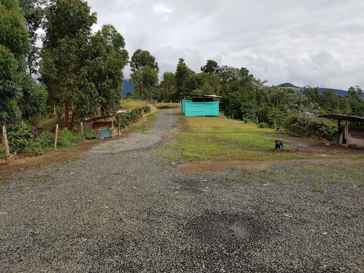 Foto de Finca en Venta en Santa rosa de cabal, Santa rosa de cabal - 12 - 279056021