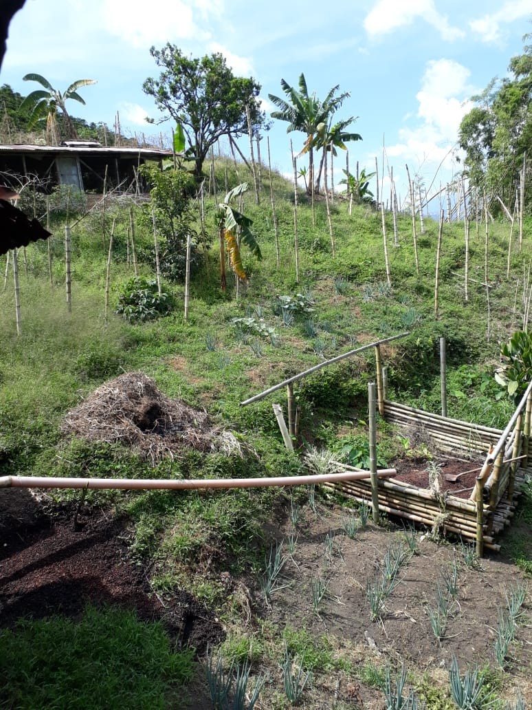 Foto de Finca en Venta en Alto chuscal, Chinchina - 7 - 21129