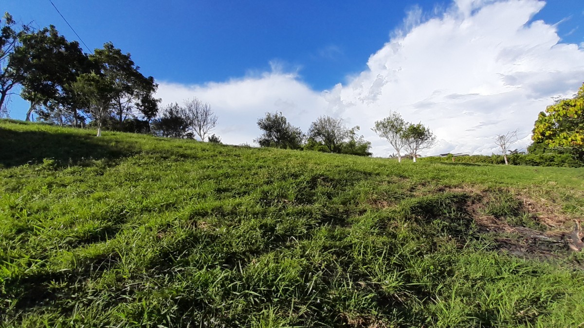 Foto de Lote / terreno en Venta en Arauca via risaralda, Risaralda - 26 - 279024588