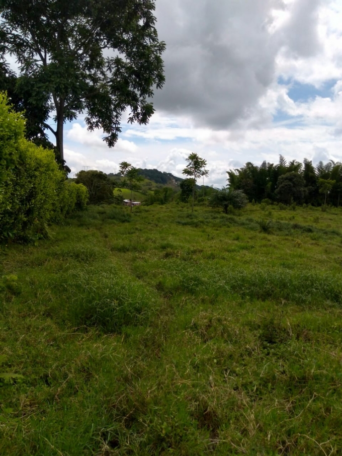 Foto de Lote / terreno para Venta en Vereda la libertad, Risaralda - 18529