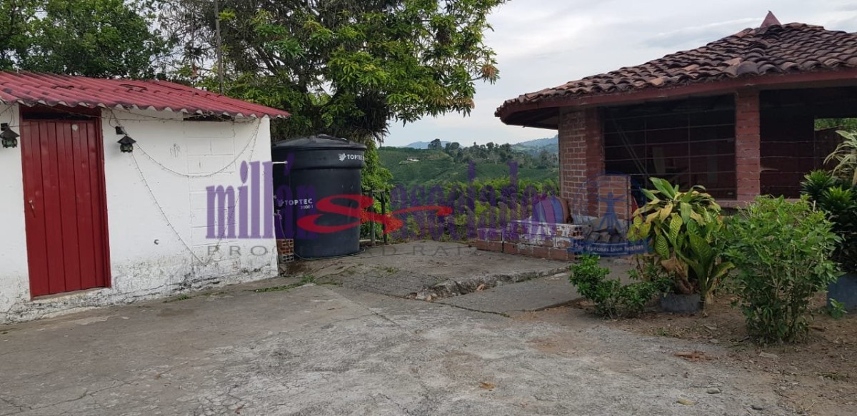 Foto de Finca en Venta en Tres esquinas, Chinchina - 3 - 52177