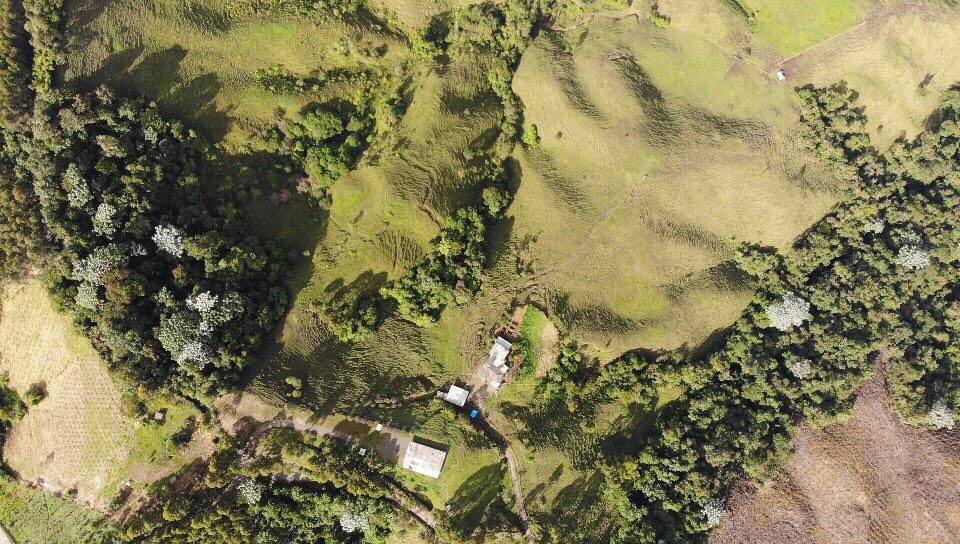 Foto de Finca en Venta en Santa rosa de cabal, Santa rosa de cabal - 25 - 279056021