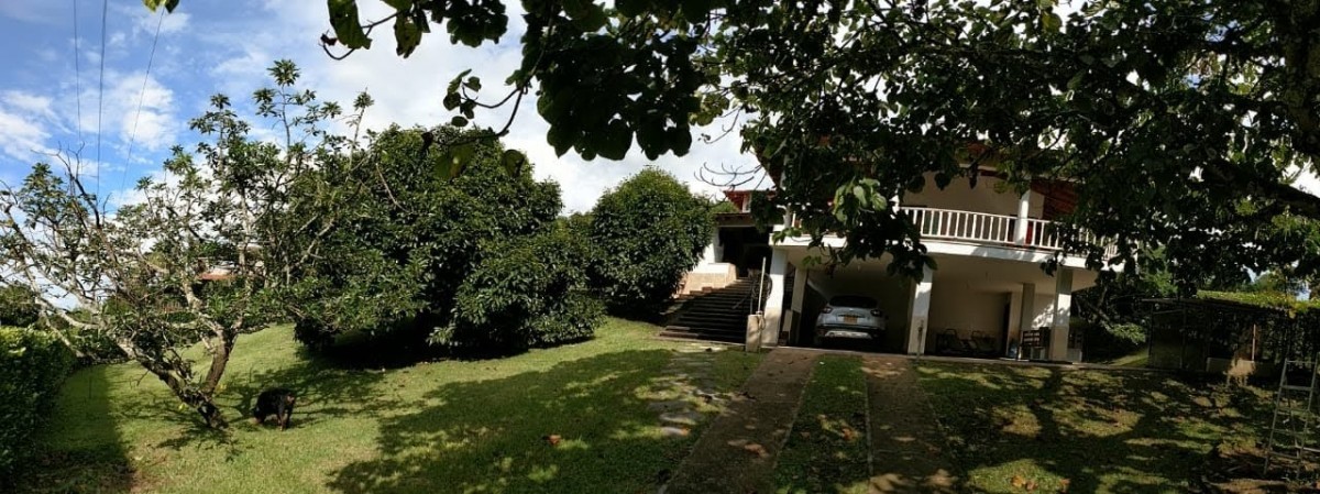Foto de Finca en Venta en Vereda santagueda, Palestina - 3 - 279014376