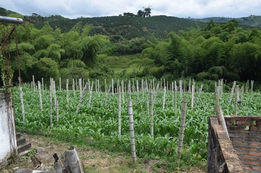 Foto de Finca en Venta en La cabaña, Manizales - 19 - 279024307
