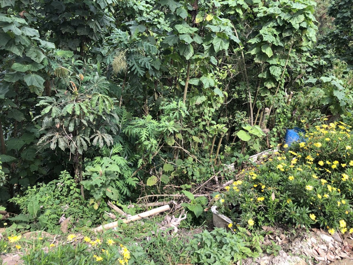 Foto de Lote / terreno en Venta en Panamericana, Manizales - 25 - 20489