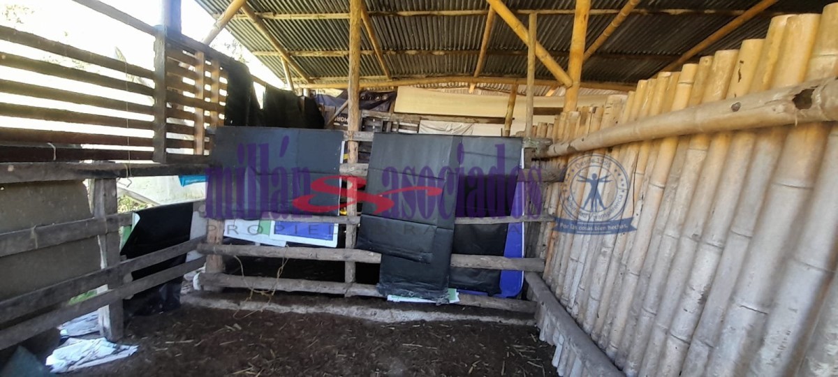 Foto de Lote / terreno en Venta en Cerro de oro, Manizales - 8 - 51810