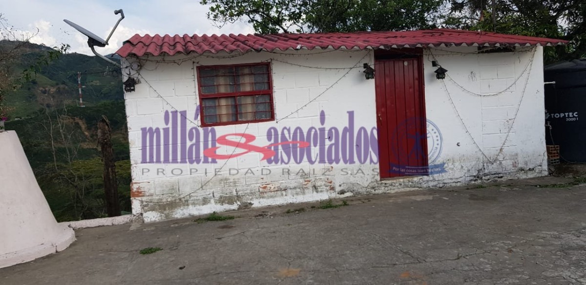 Foto de Finca en Venta en Tres esquinas, Chinchina - 5 - 52177