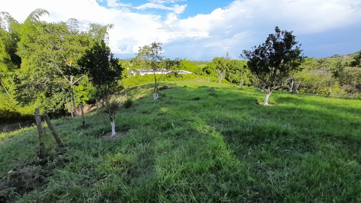 Foto de Lote / terreno en Venta en Arauca via risaralda, Risaralda - 2 - 279024588