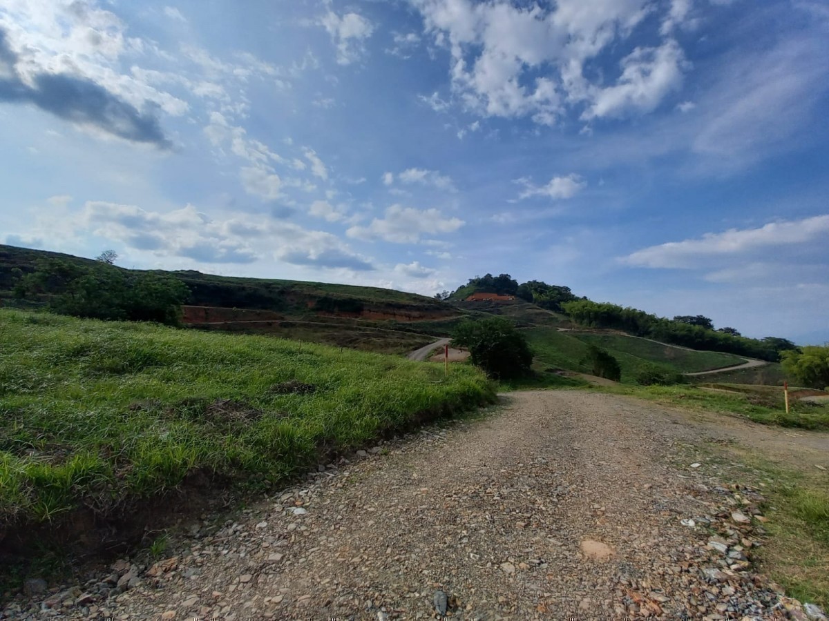 Foto de Lote / terreno en Venta en Vereda santagueda, Palestina - 10 - 24553