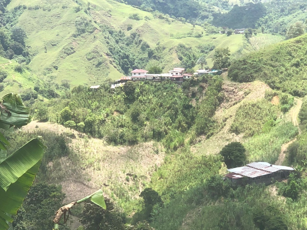 Foto de Finca en Venta en Vereda el higueron, Neira - 11 - 24699
