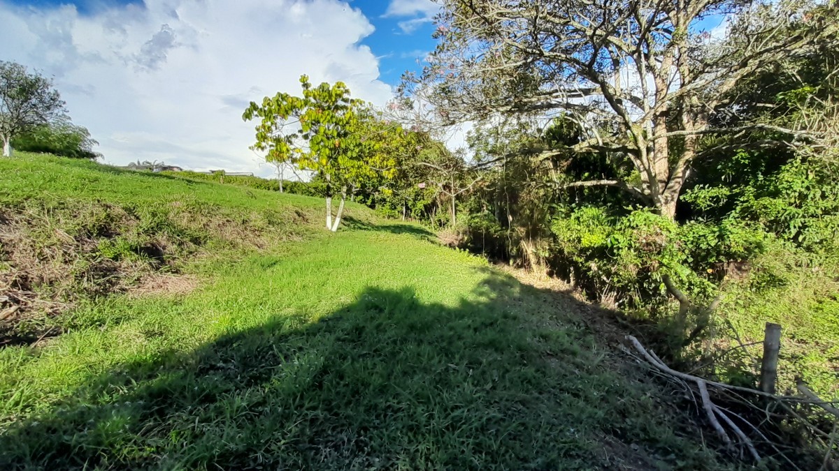 Foto de Lote / terreno en Venta en Arauca via risaralda, Risaralda - 28 - 279024588