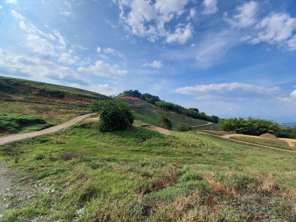 Foto de Lote / terreno en Venta en Vereda santagueda, Palestina - 14 - 24468