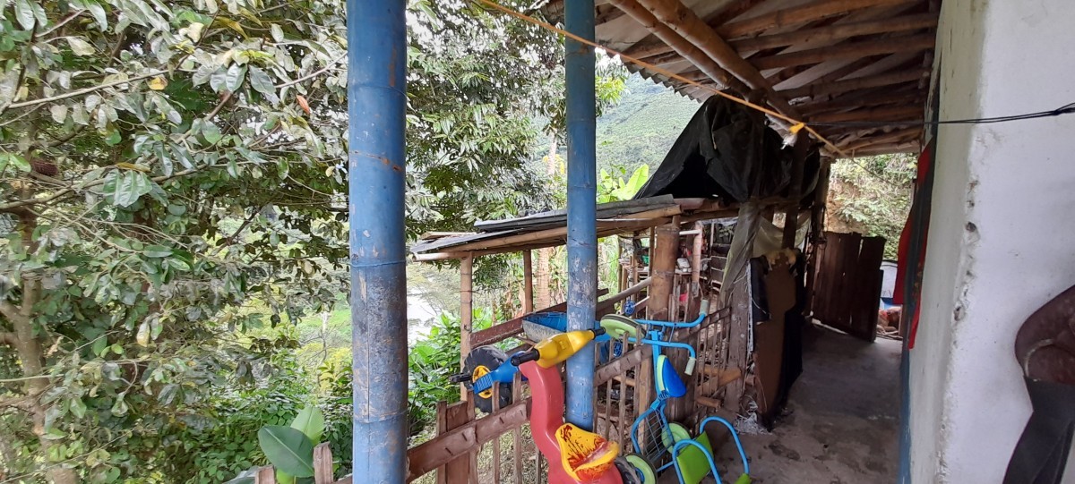 Foto de Finca en Venta en Los nogales, Manizales - 5 - 24633