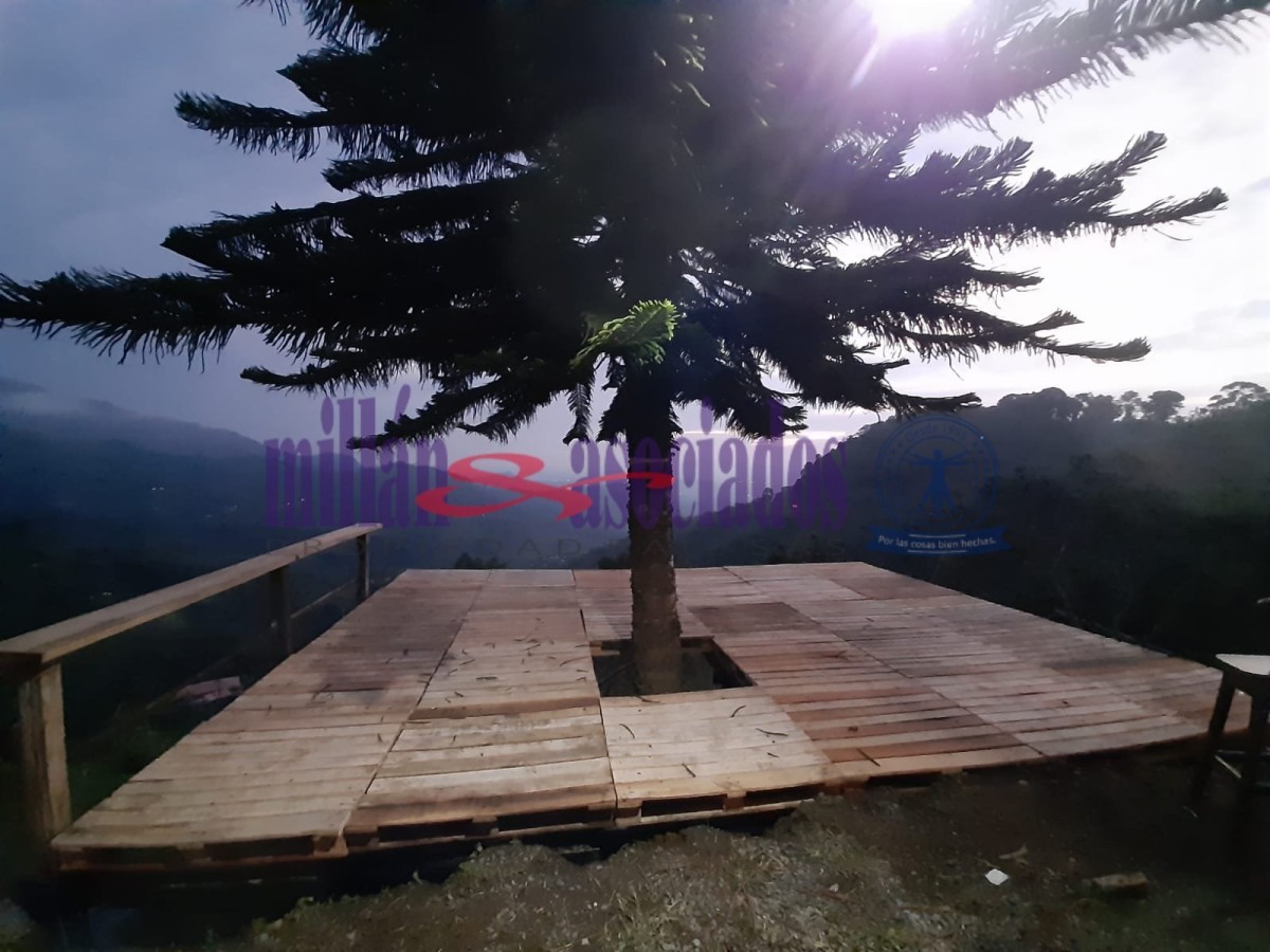 Foto de Finca en Venta en Combia, Pereira - 10 - 51996