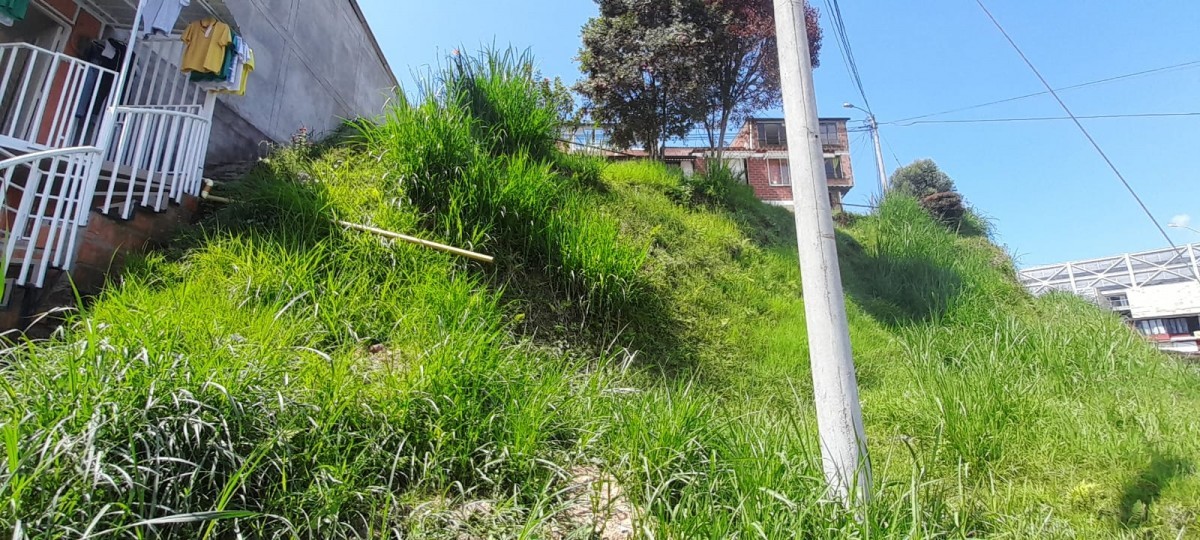 Foto de Lote / terreno en Venta en La isabela, Villamaria - 3 - 25073