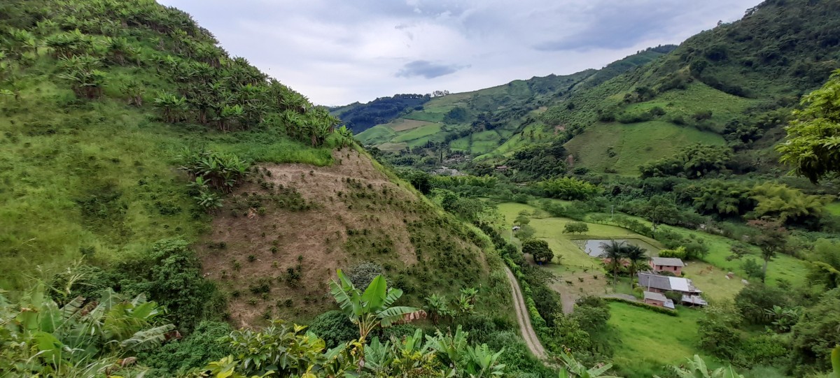 Foto de Finca en Venta en Los nogales, Manizales - 16 - 24633