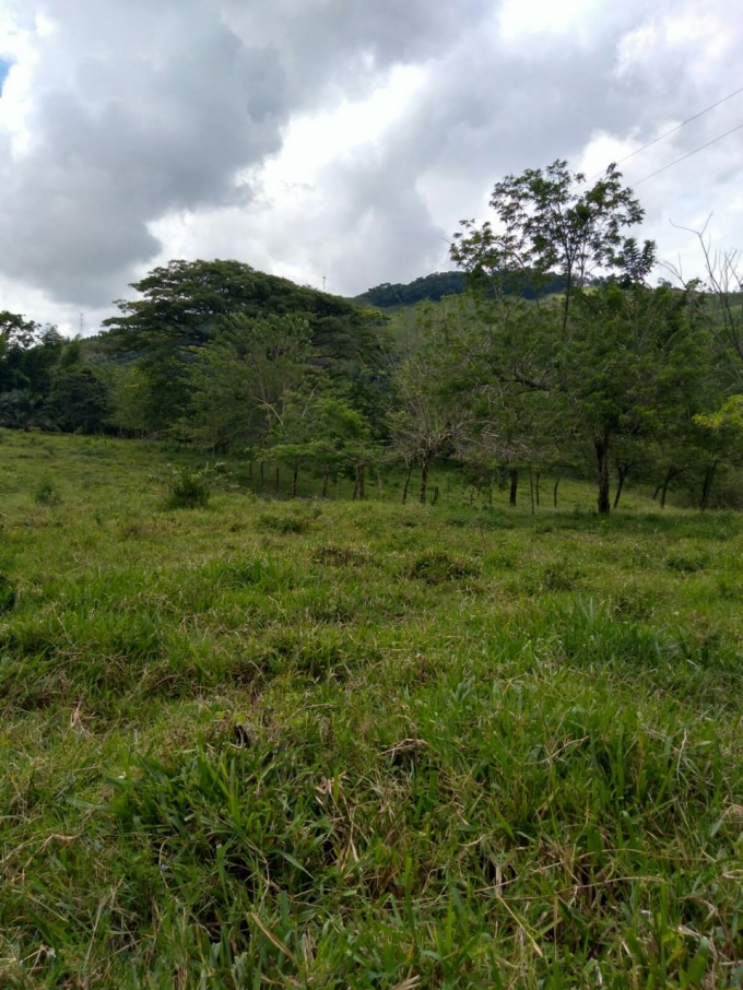 Foto de Lote / terreno en Venta en Vereda la libertad, Risaralda - 5 - 18529