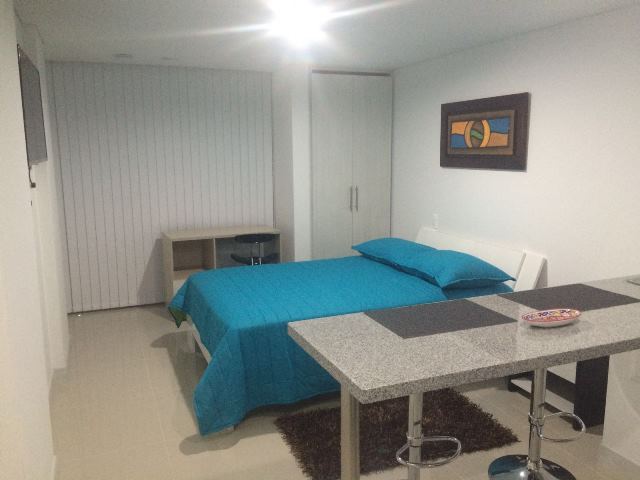 Foto de Apartaestudio en Arriendo en Palermo, Manizales - 2 - 12054