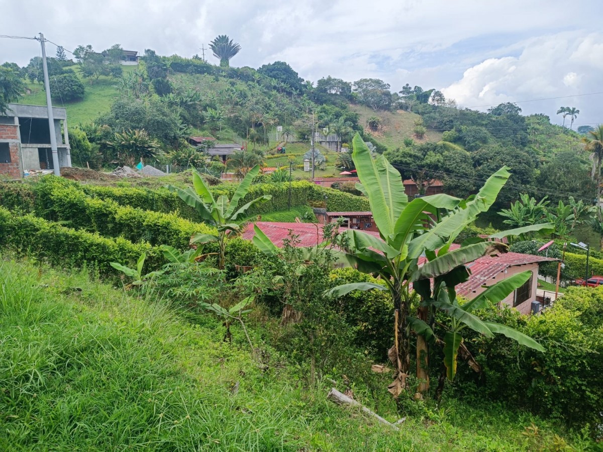 Foto de Finca en Venta en Vereda santagueda, Palestina - 6 - 279052239