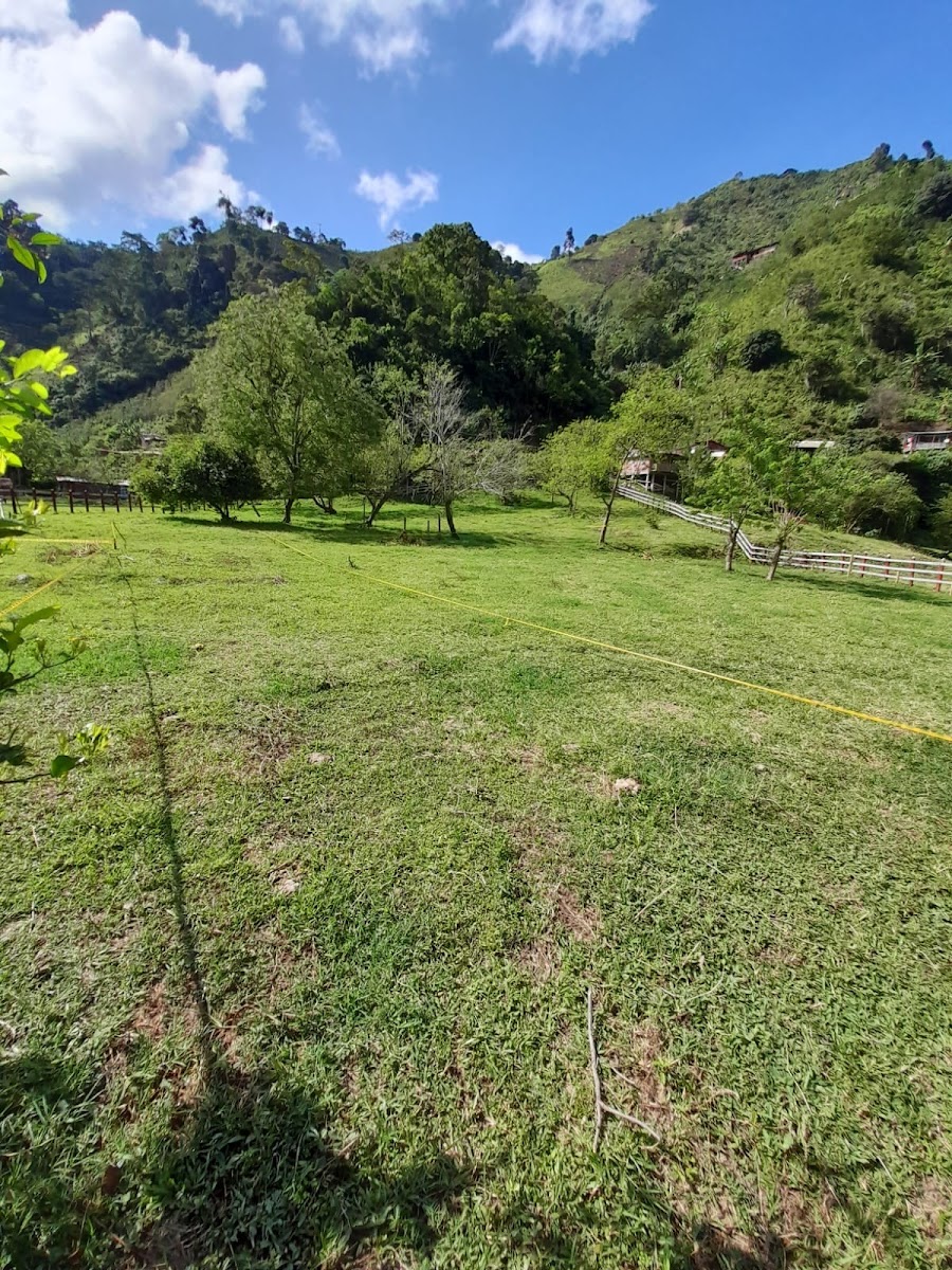 Foto de Lote / terreno en Venta en Vereda el guineo, Manizales - 3 - 279052284